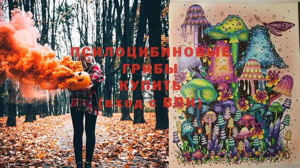 2c-b Лиски